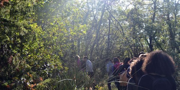 Laboratorio Green Counseling