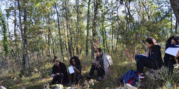 Laboratorio Green Counseling